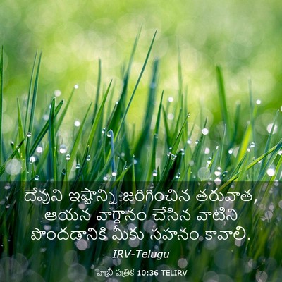 Picture 03 - హెబ్రీ పత్రిక 10:36 TELIRV - దేవుని ఇష్టాన్ని - Bible Verse Picture