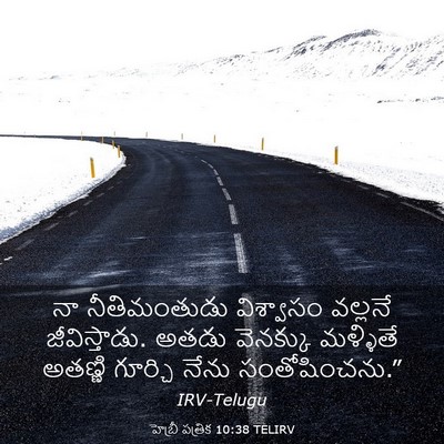 Picture 03 - హెబ్రీ పత్రిక 10:38 TELIRV - నా నీతిమంతుడు - Bible Verse Picture