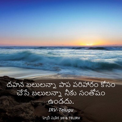 Picture 03 - హెబ్రీ పత్రిక 10:6 TELIRV - దహన బలులన్నా పాప - Bible Verse Picture