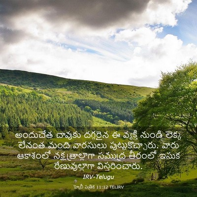 Picture 03 - హెబ్రీ పత్రిక 11:12 TELIRV - అందుచేత చావుకు - Bible Verse Picture