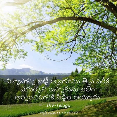 Picture 03 - హెబ్రీ పత్రిక 11:17 TELIRV - విశ్వాసాన్ని - Bible Verse Picture