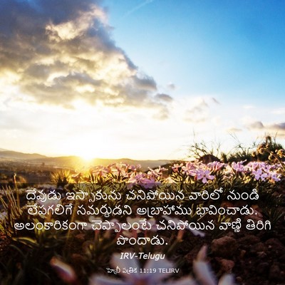 Picture 03 - హెబ్రీ పత్రిక 11:19 TELIRV - దేవుడు ఇస్సాకును - Bible Verse Picture