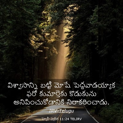Picture 03 - హెబ్రీ పత్రిక 11:24 TELIRV - విశ్వాసాన్ని - Bible Verse Picture