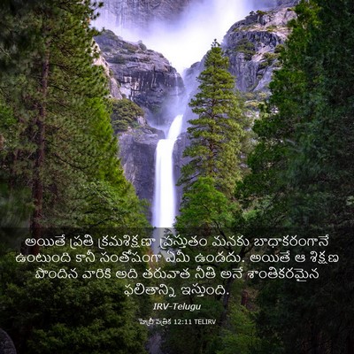 Picture 03 - హెబ్రీ పత్రిక 12:11 TELIRV - అయితే ప్రతి - Bible Verse Picture