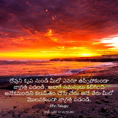 Picture 03 - హెబ్రీ పత్రిక 12:15 TELIRV - దేవుని కృప నుండి - Bible Verse Picture