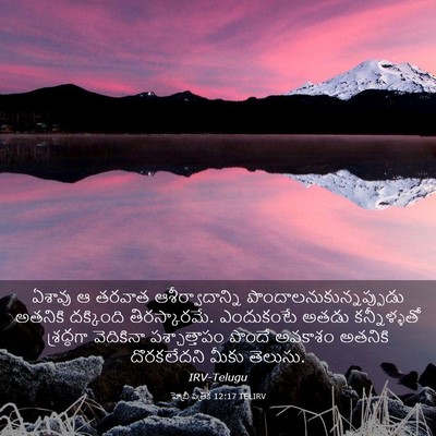 Picture 03 - హెబ్రీ పత్రిక 12:17 TELIRV - ఏశావు ఆ తరవాత - Bible Verse Picture
