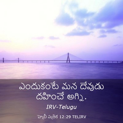 Picture 03 - హెబ్రీ పత్రిక 12:29 TELIRV - ఎందుకంటే మన - Bible Verse Picture
