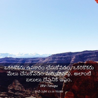 Picture 03 - హెబ్రీ పత్రిక 13:16 TELIRV - ఒకరికొకరు ఉపకారం - Bible Verse Picture