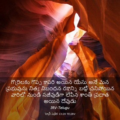 Picture 03 - హెబ్రీ పత్రిక 13:20 TELIRV - గొర్రెలకు గొప్ప - Bible Verse Picture