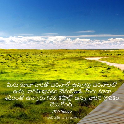 Picture 03 - హెబ్రీ పత్రిక 13:3 TELIRV - మీరు కూడా వారితో - Bible Verse Picture