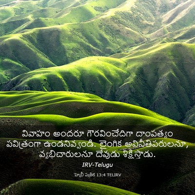 Picture 03 - హెబ్రీ పత్రిక 13:4 TELIRV - వివాహం అందరూ - Bible Verse Picture