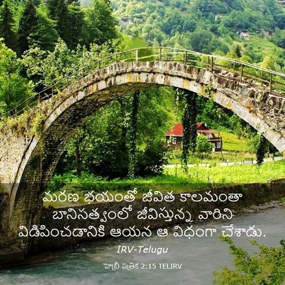 Picture 03 - హెబ్రీ పత్రిక 2:15 TELIRV - మరణ భయంతో జీవిత - Bible Verse Picture