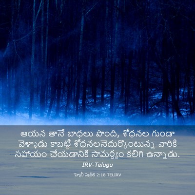 Picture 03 - హెబ్రీ పత్రిక 2:18 TELIRV - ఆయన తానే బాధలు - Bible Verse Picture