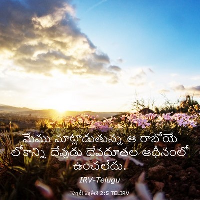 Picture 03 - హెబ్రీ పత్రిక 2:5 TELIRV - మేము - Bible Verse Picture