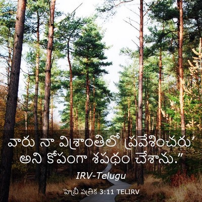 Picture 03 - హెబ్రీ పత్రిక 3:11 TELIRV - వారు నా - Bible Verse Picture