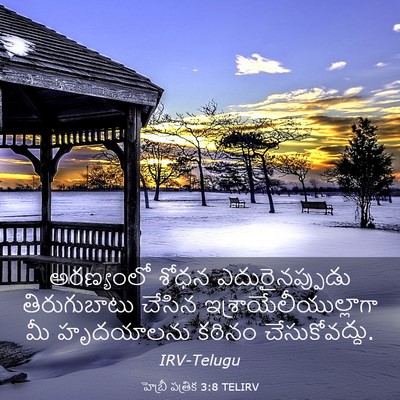 Picture 03 - హెబ్రీ పత్రిక 3:8 TELIRV - అరణ్యంలో శోధన - Bible Verse Picture