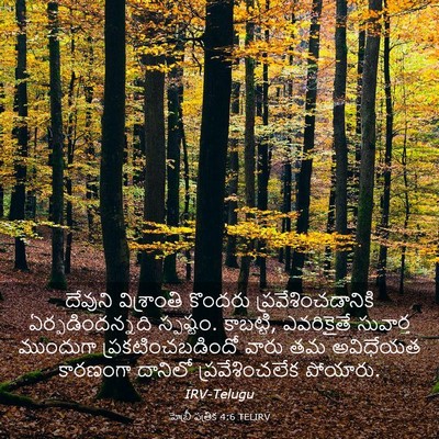 Picture 03 - హెబ్రీ పత్రిక 4:6 TELIRV - దేవుని విశ్రాంతి - Bible Verse Picture
