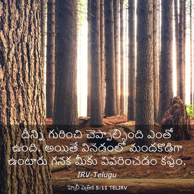 Picture 03 - హెబ్రీ పత్రిక 5:11 TELIRV - దీన్ని గురించి - Bible Verse Picture