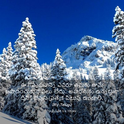 Picture 03 - హెబ్రీ పత్రిక 5:4 TELIRV - ఈ గొప్పదనాన్ని - Bible Verse Picture