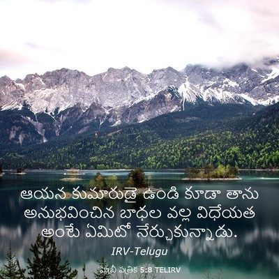 Picture 03 - హెబ్రీ పత్రిక 5:8 TELIRV - ఆయన కుమారుడై ఉండి - Bible Verse Picture