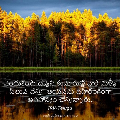 Picture 03 - హెబ్రీ పత్రిక 6:6 TELIRV - ఎందుకంటే దేవుని - Bible Verse Picture