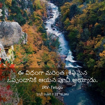 Picture 03 - హెబ్రీ పత్రిక 7:22 TELIRV - ఈ విధంగా మరింత - Bible Verse Picture