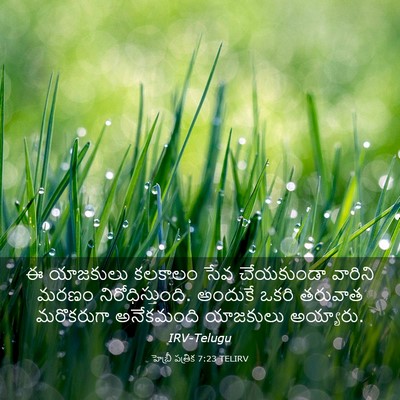 Picture 03 - హెబ్రీ పత్రిక 7:23 TELIRV - ఈ యాజకులు కలకాలం - Bible Verse Picture