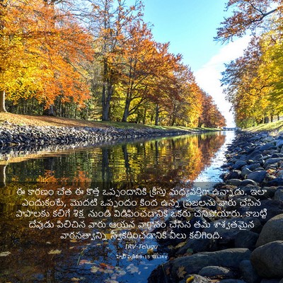 Picture 03 - హెబ్రీ పత్రిక 9:15 TELIRV - ఈ కారణం చేత ఈ కొత్త - Bible Verse Picture