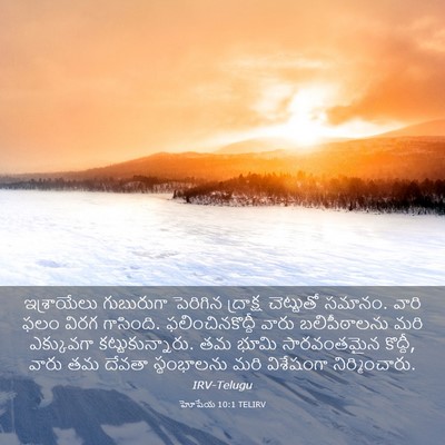 Picture 03 - హోషేయ 10:1 TELIRV - ఇశ్రాయేలు - Bible Verse Picture