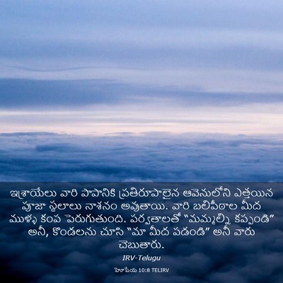 Picture 03 - హోషేయ 10:8 TELIRV - ఇశ్రాయేలు వారి - Bible Verse Picture