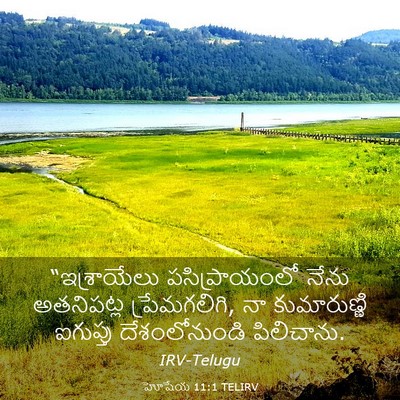 Picture 03 - హోషేయ 11:1 TELIRV - “ఇశ్రాయేలు - Bible Verse Picture