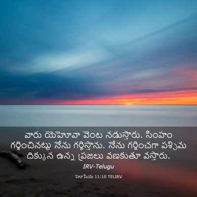 Picture 03 - హోషేయ 11:10 TELIRV - వారు యెహోవా వెంట - Bible Verse Picture