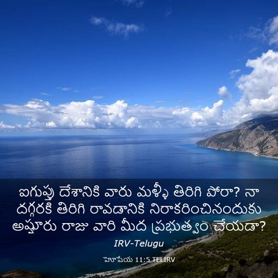 Picture 03 - హోషేయ 11:5 TELIRV - ఐగుప్తు దేశానికి - Bible Verse Picture