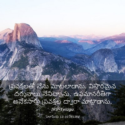 Picture 03 - హోషేయ 12:10 TELIRV - ప్రవక్తలతో నేను - Bible Verse Picture