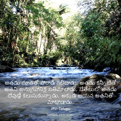 Picture 03 - హోషేయ 12:4 TELIRV - అతడు దూతతో పోరాడి - Bible Verse Picture