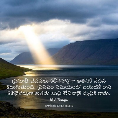 Picture 03 - హోషేయ 13:13 TELIRV - ప్రసూతి వేదనలు - Bible Verse Picture