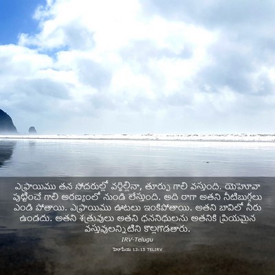 Picture 03 - హోషేయ 13:15 TELIRV - ఎఫ్రాయిము తన - Bible Verse Picture