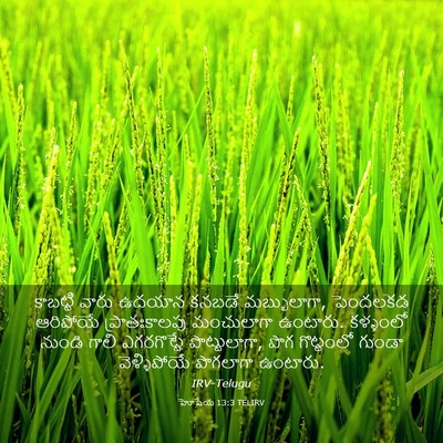 Picture 03 - హోషేయ 13:3 TELIRV - కాబట్టి వారు - Bible Verse Picture