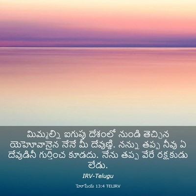 Picture 03 - హోషేయ 13:4 TELIRV - మిమ్మల్ని ఐగుప్తు - Bible Verse Picture