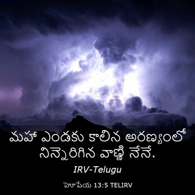 Picture 03 - హోషేయ 13:5 TELIRV - మహా ఎండకు కాలిన - Bible Verse Picture