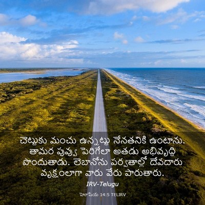 Picture 03 - హోషేయ 14:5 TELIRV - చెట్టుకు మంచు - Bible Verse Picture