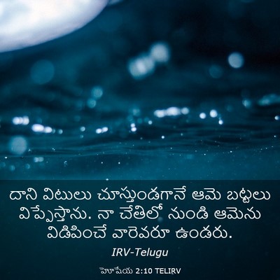 Picture 03 - హోషేయ 2:10 TELIRV - దాని విటులు - Bible Verse Picture