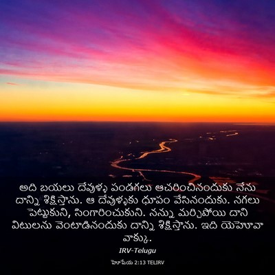 Picture 03 - హోషేయ 2:13 TELIRV - అది బయలు దేవుళ్ళ - Bible Verse Picture