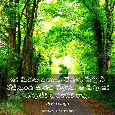 Picture 03 - హోషేయ 2:17 TELIRV - ఇక మీదట బయలు - Bible Verse Picture