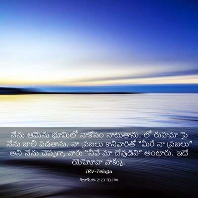 Picture 03 - హోషేయ 2:23 TELIRV - నేను ఆమెను భూమిలో - Bible Verse Picture