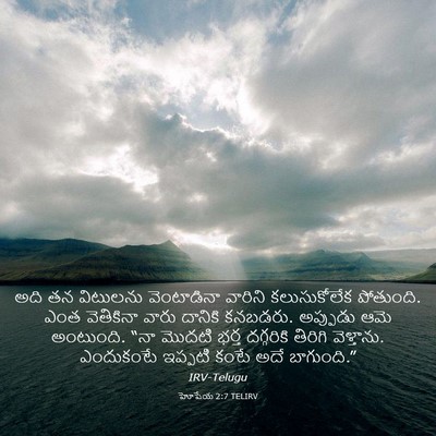 Picture 03 - హోషేయ 2:7 TELIRV - అది తన విటులను - Bible Verse Picture