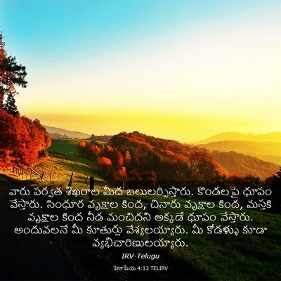 Picture 03 - హోషేయ 4:13 TELIRV - వారు పర్వత శిఖరాల - Bible Verse Picture