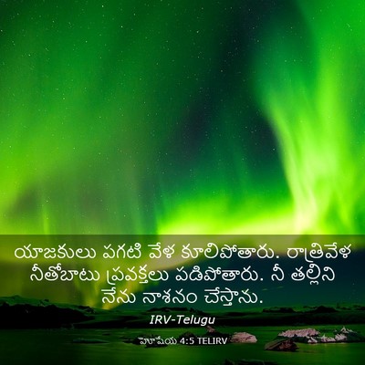 Picture 03 - హోషేయ 4:5 TELIRV - యాజకులు పగటి వేళ - Bible Verse Picture