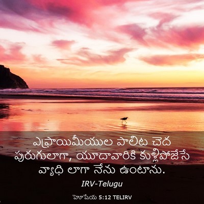 Picture 03 - హోషేయ 5:12 TELIRV - ఎఫ్రాయిమీయుల - Bible Verse Picture