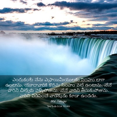 Picture 03 - హోషేయ 5:14 TELIRV - ఎందుకంటే నేను - Bible Verse Picture